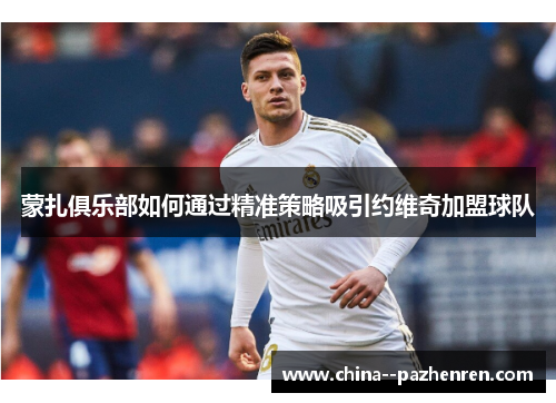 蒙扎俱乐部如何通过精准策略吸引约维奇加盟球队